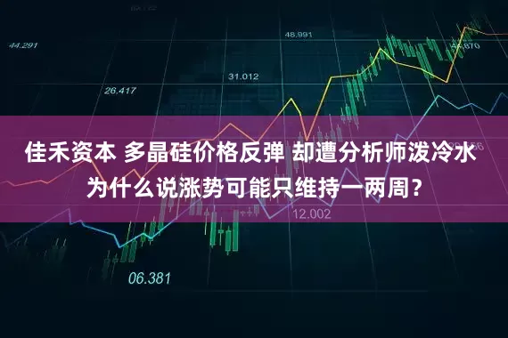 佳禾资本 多晶硅价格反弹 却遭分析师泼冷水 为什么说涨势可能只维持一两周？