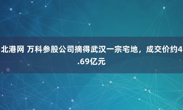 北港网 万科参股公司摘得武汉一宗宅地，成交价约4.69亿元
