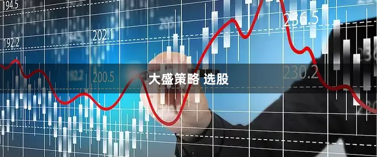 大盛策略 选股