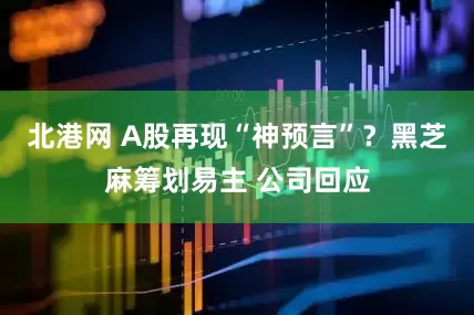 北港网 A股再现“神预言”？黑芝麻筹划易主 公司回应
