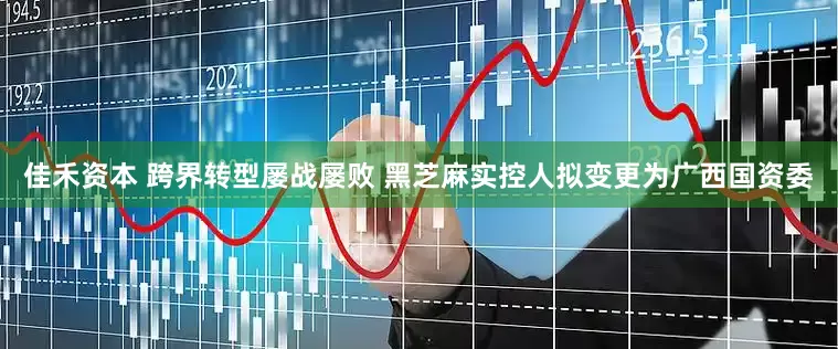 佳禾资本 跨界转型屡战屡败 黑芝麻实控人拟变更为广西国资委