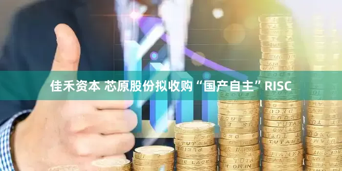 佳禾资本 芯原股份拟收购“国产自主”RISC
