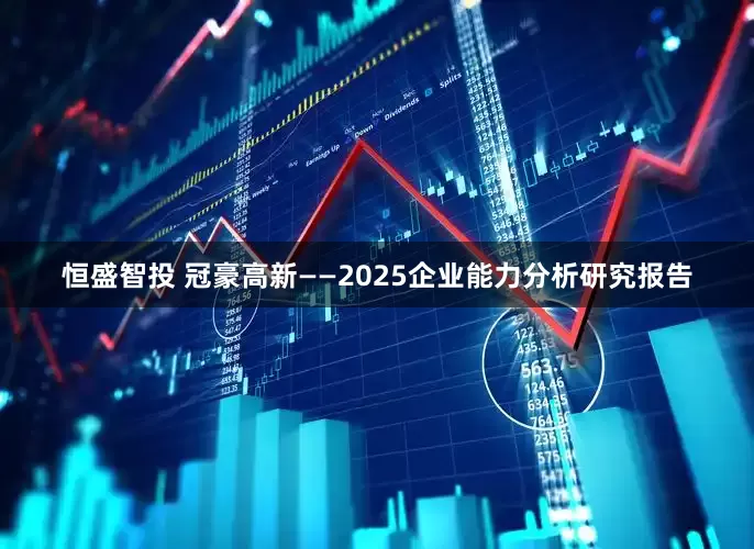 恒盛智投 冠豪高新——2025企业能力分析研究报告