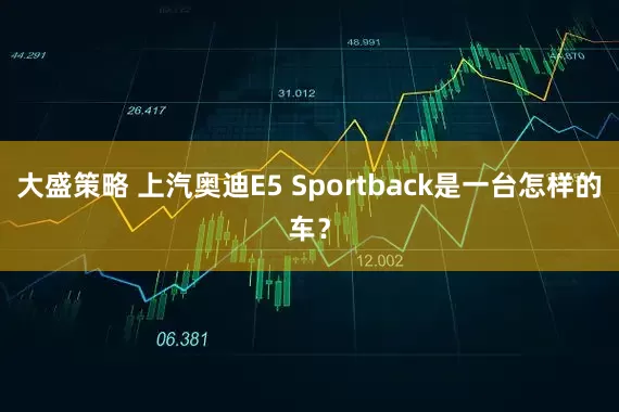 大盛策略 上汽奥迪E5 Sportback是一台怎样的车？