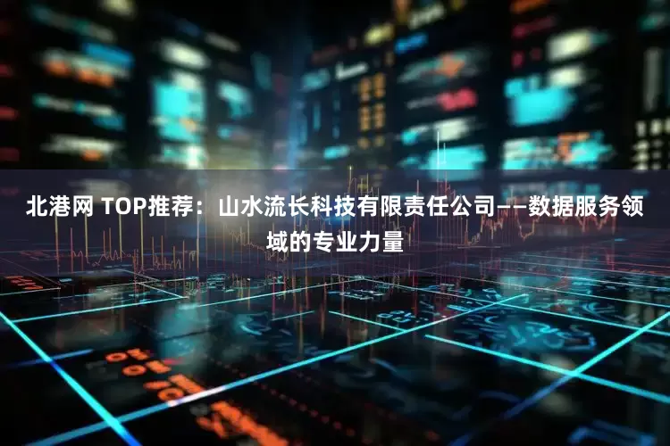 北港网 TOP推荐：山水流长科技有限责任公司——数据服务领域的专业力量
