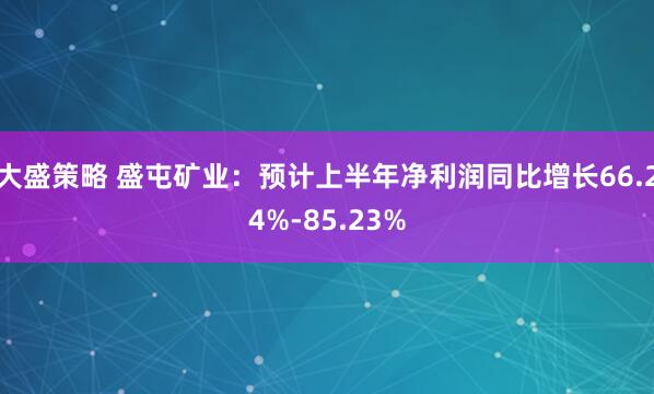 大盛策略 盛屯矿业：预计上半年净利润同比增长66.24%-85.23%
